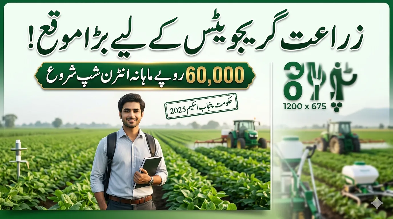 CM Punjab Internship 2025